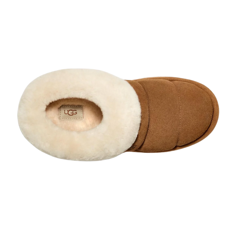 UGG Wmns Tazzlita Slipper 'Chestnut'